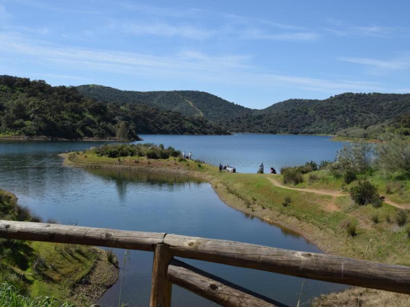 Tejadilla Casita Rural Cerca De Sevilla Con Piscina Buitenkant foto